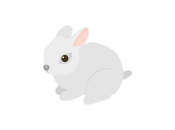 Download Easter Rabbit Vector Illustration - Rabbit Collection